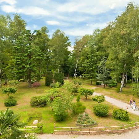 Le Betulle Hotel San Maurizio D'opaglio Eksteriør billede