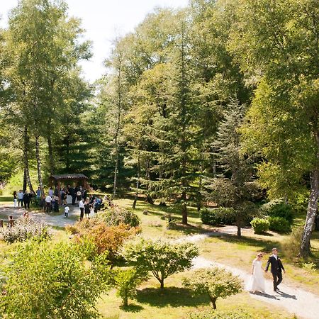 Le Betulle Hotel San Maurizio D'opaglio Eksteriør billede