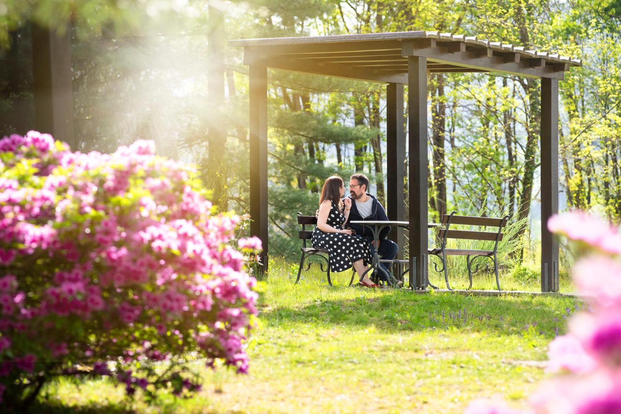 Le Betulle Hotel San Maurizio D'opaglio Eksteriør billede